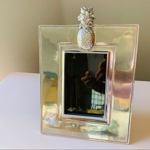 Mariposa Pineapple Aluminum Picture Frame